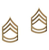 Sergeant First Class Polished Insignia Pin